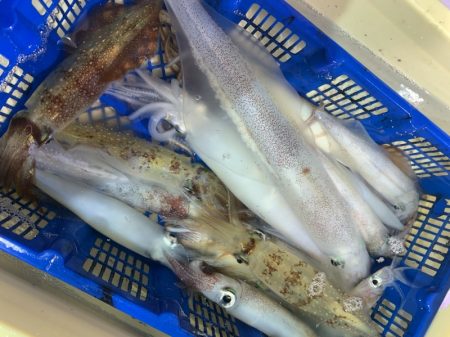 海龍丸（石川） 釣果