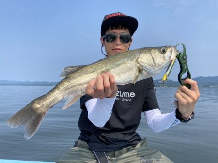 アマテラス 釣果