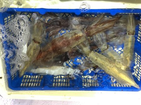 海龍丸（石川） 釣果