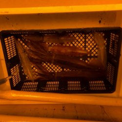 海龍丸（石川） 釣果