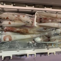 海龍丸（石川） 釣果