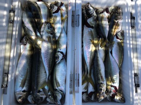 フィッシング　キッタカ 釣果