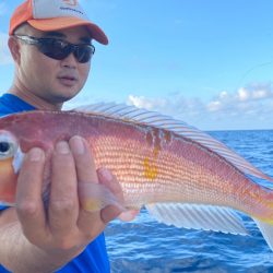 あみや渡船 JIGBOY 釣果