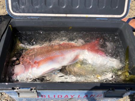 第二八坂丸 釣果