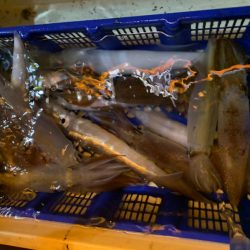 海龍丸（石川） 釣果