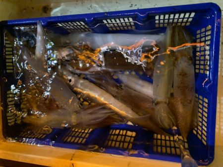 海龍丸（石川） 釣果