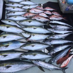 エムズジャーク(M’s JERK) 釣果