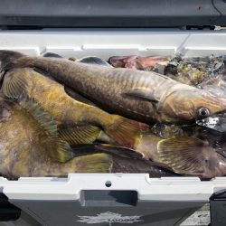 第二 つれたか丸 釣果