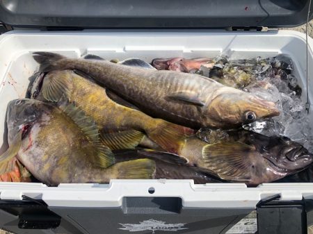 第二 つれたか丸 釣果