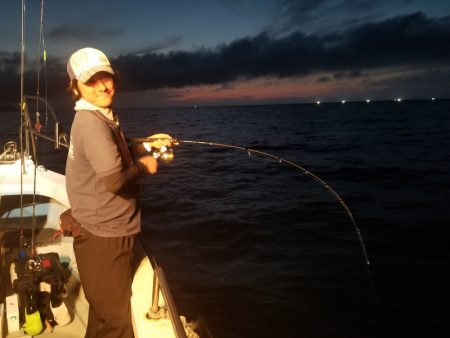 アマテラス 釣果