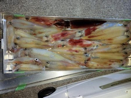 第二龍勢丸 釣果