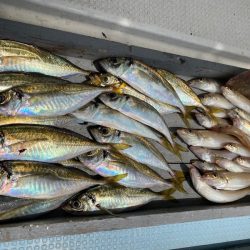 岡田釣船　八英丸 釣果