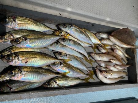 岡田釣船　八英丸 釣果