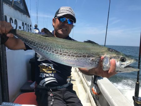 ランスルー 釣果