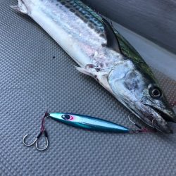 Chase(チェイス) 釣果