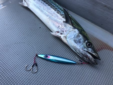 Chase(チェイス) 釣果