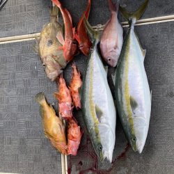 Monster Rush! 釣果