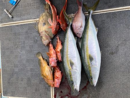 Monster Rush! 釣果