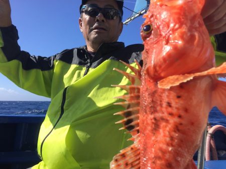 敷嶋丸 釣果
