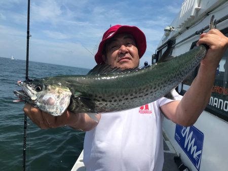 ランスルー 釣果