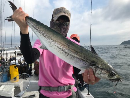 ランスルー 釣果