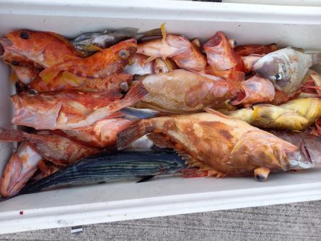 第二龍勢丸 釣果