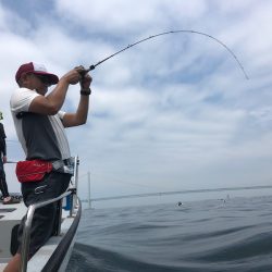 Chase(チェイス) 釣果