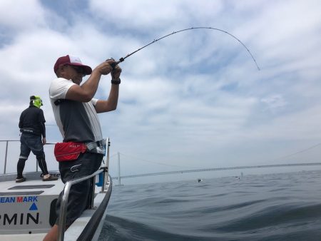 Chase(チェイス) 釣果