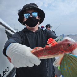 ありもと丸 釣果
