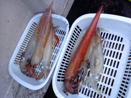 第二龍勢丸 釣果