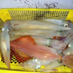 第二龍勢丸 釣果