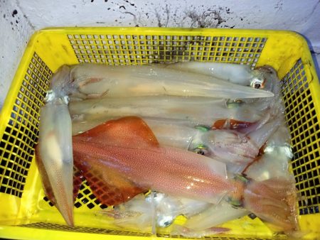 第二龍勢丸 釣果