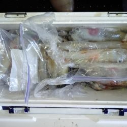 第二龍勢丸 釣果