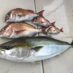大雄丸 釣果
