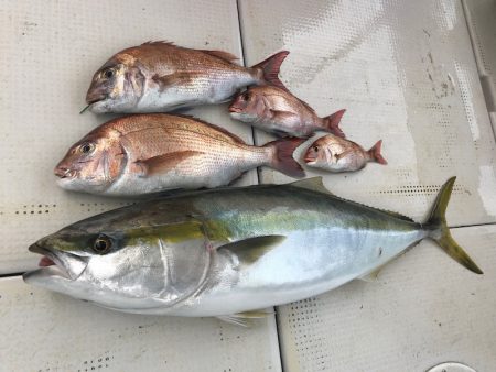 大雄丸 釣果