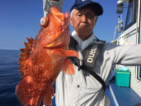 敷嶋丸 釣果