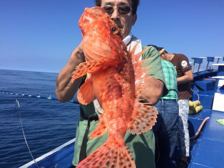 敷嶋丸 釣果