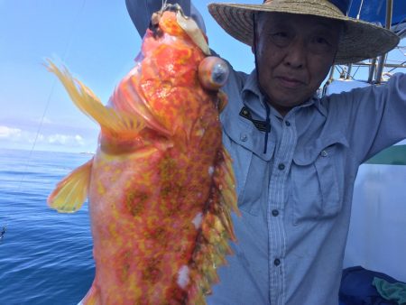 敷嶋丸 釣果