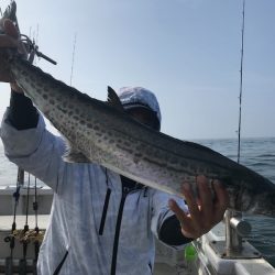 ランスルー 釣果