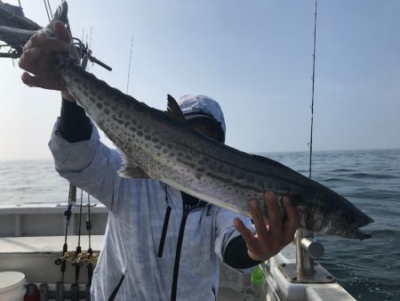 ランスルー 釣果