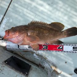 フィッシング　キッタカ 釣果