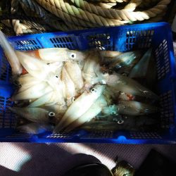 海龍丸（石川） 釣果