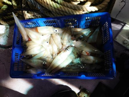 海龍丸（石川） 釣果