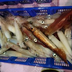 海龍丸（石川） 釣果