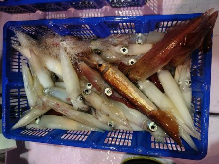 海龍丸（石川） 釣果