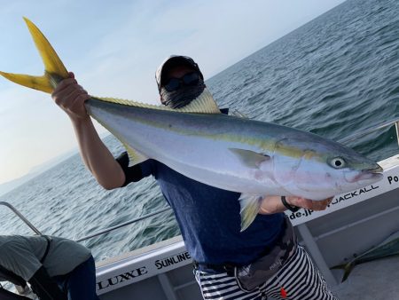 SeaRide(シーライド) 釣果