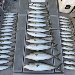 SeaRide(シーライド) 釣果