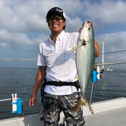 Chase(チェイス) 釣果