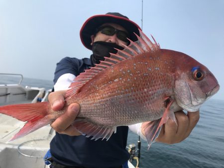 ランスルー 釣果