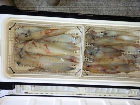 第二龍勢丸 釣果